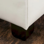Panca Pouf Contenitore Imbottita